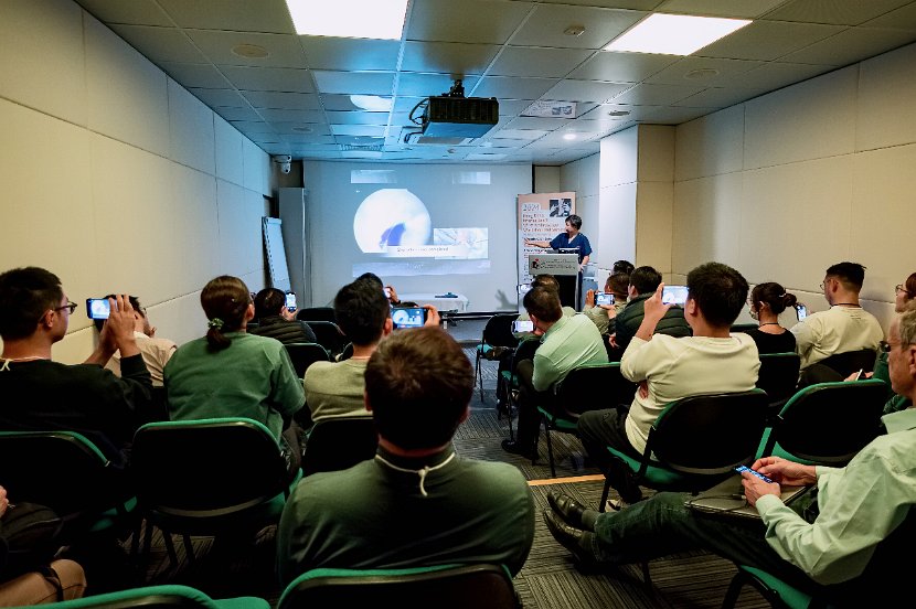 HK Wrist Course 2024 - Workshops  - 54 of 241